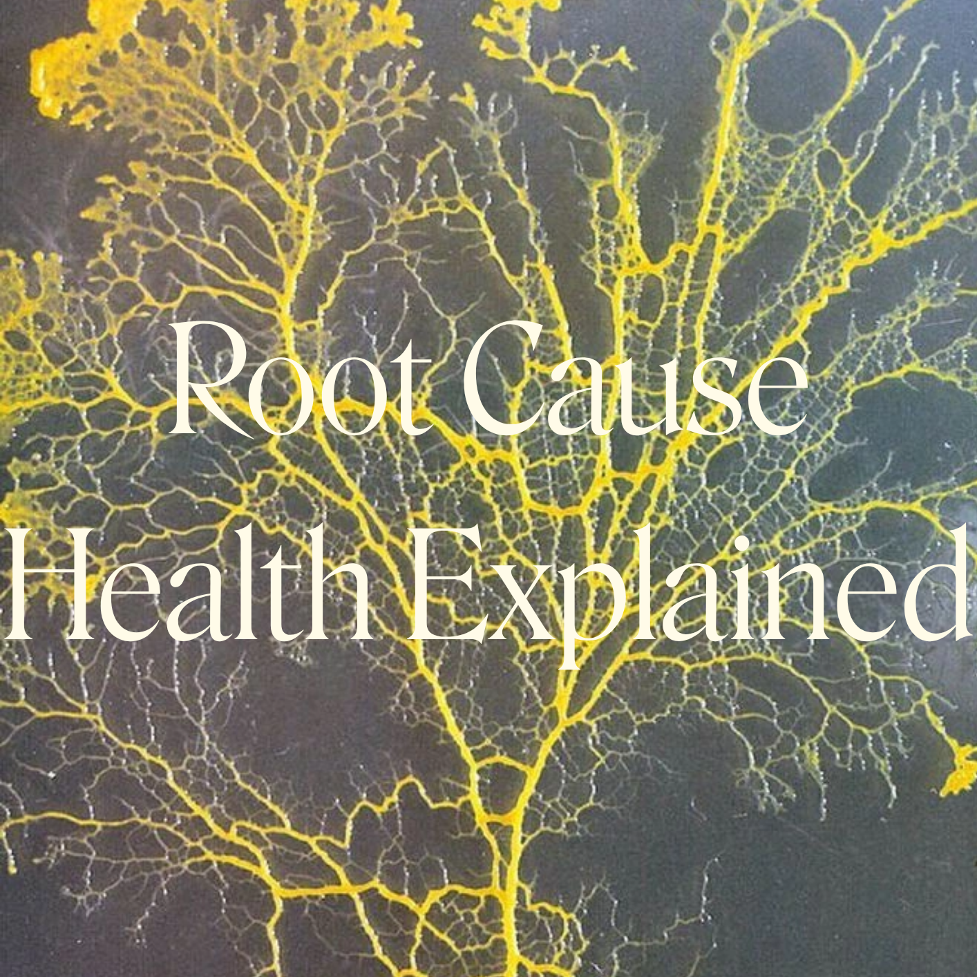 Root Cause Health, Explained: Armur Health's Alexandra on Hormones, Home, and the 90/10 Way of Life