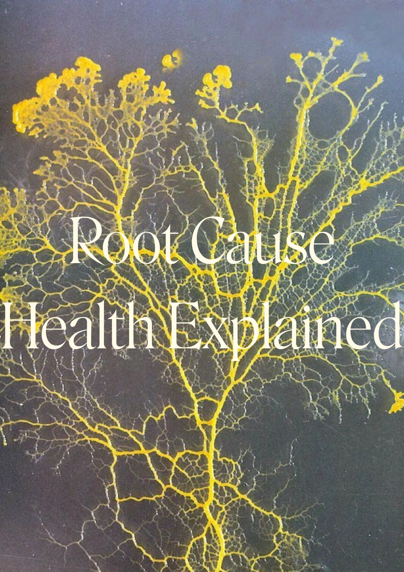 Root Cause Health, Explained: Armur Health's Alexandra on Hormones, Home, and the 90/10 Way of Life